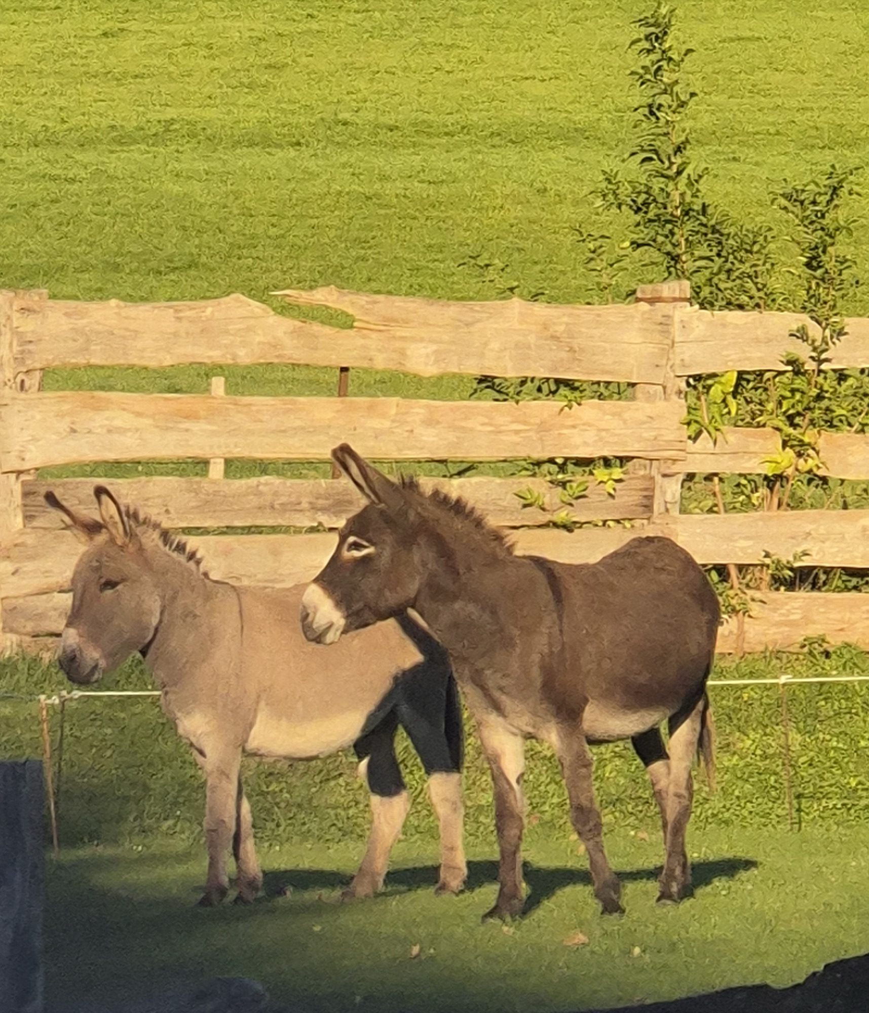 Le parc de jeux et corps de ferme 2